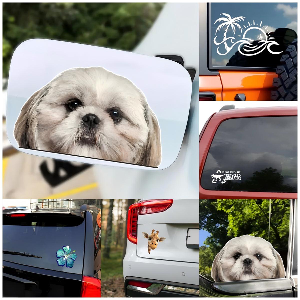 Adesivo per auto in vinile con - Laptop Accessories To Have recensione e prezzo